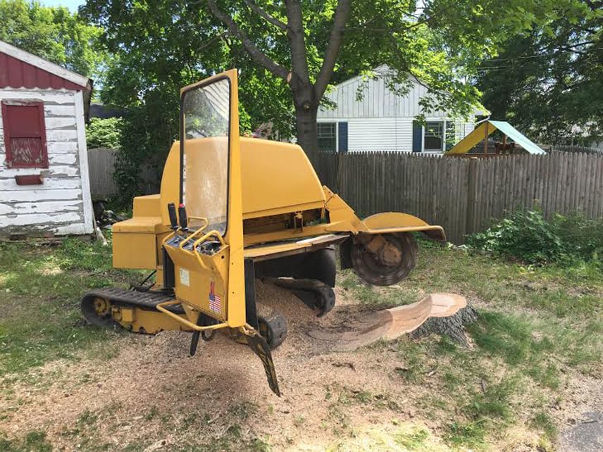 tree removal equipment removes damaged tree from lawn